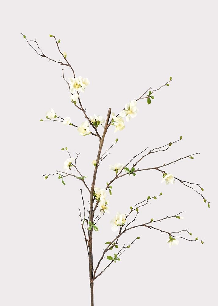 Dried Floral Arrangement
