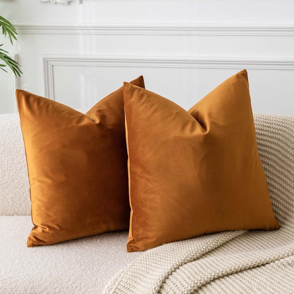 Velvet Throw Pillows Set